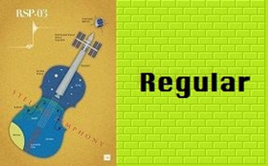 リターン不要の方：ミッション達成を全力応援！レギュラーサポーター