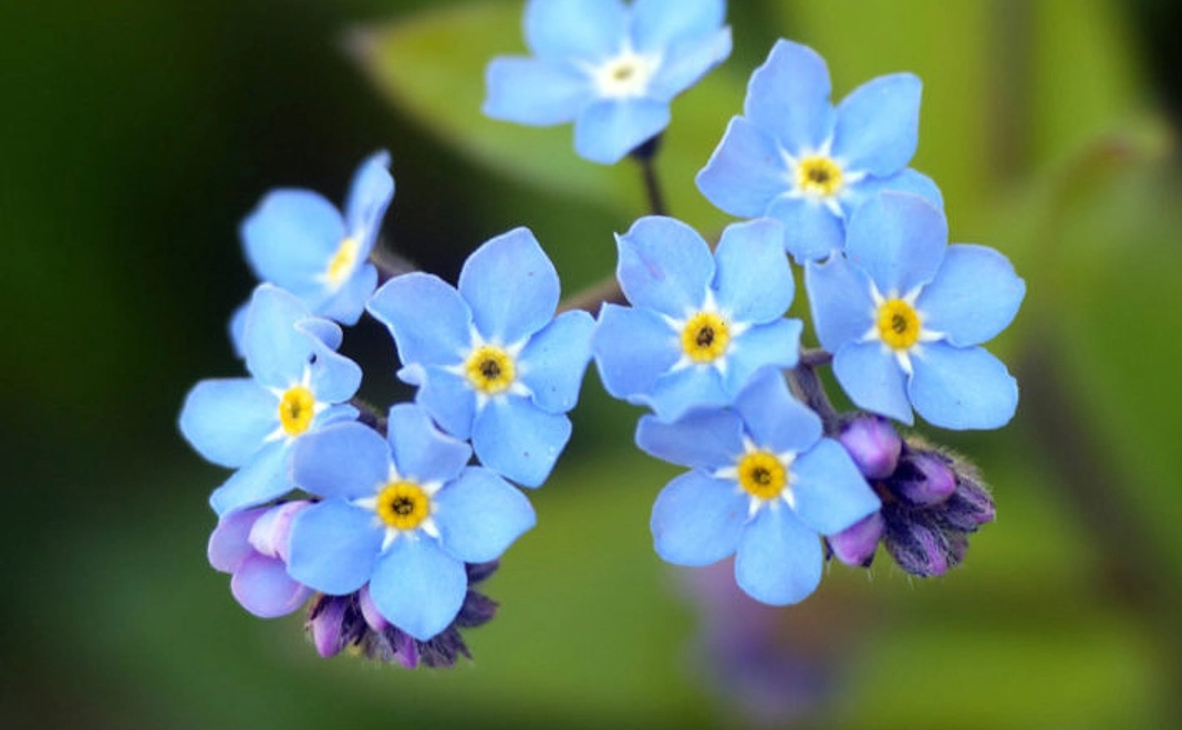 感謝、お礼のお手紙、メール