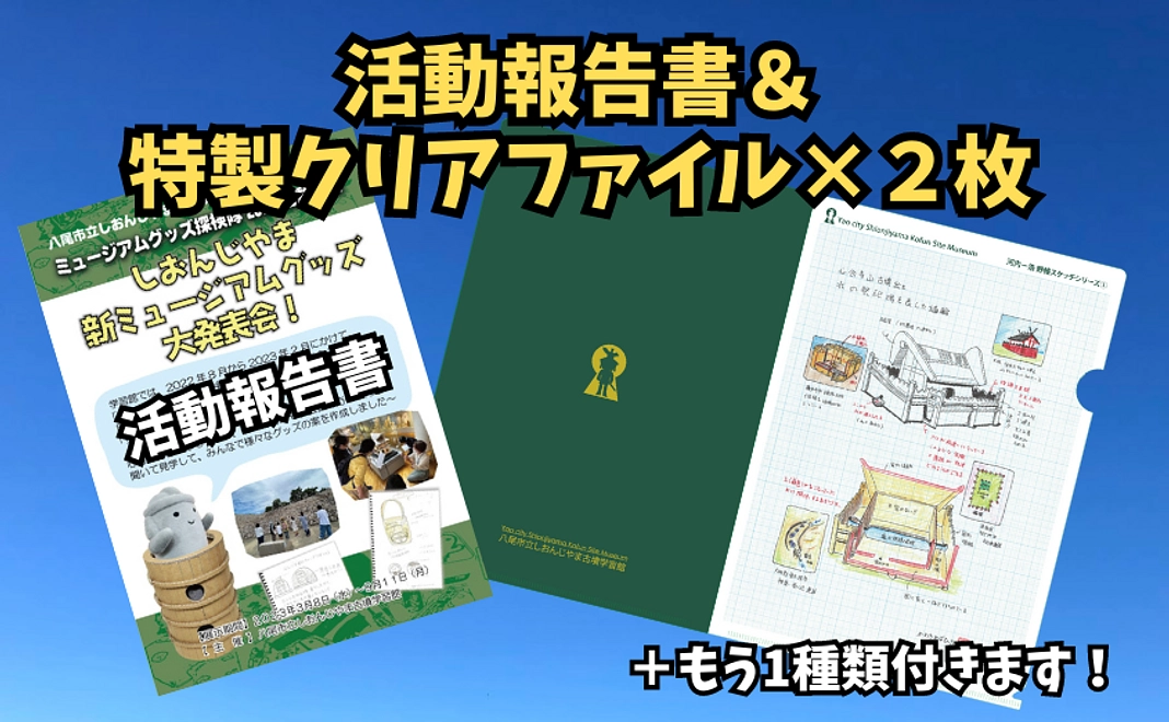 当プロジェクトへの支援（活動報告書、特製クリアファイル付き）