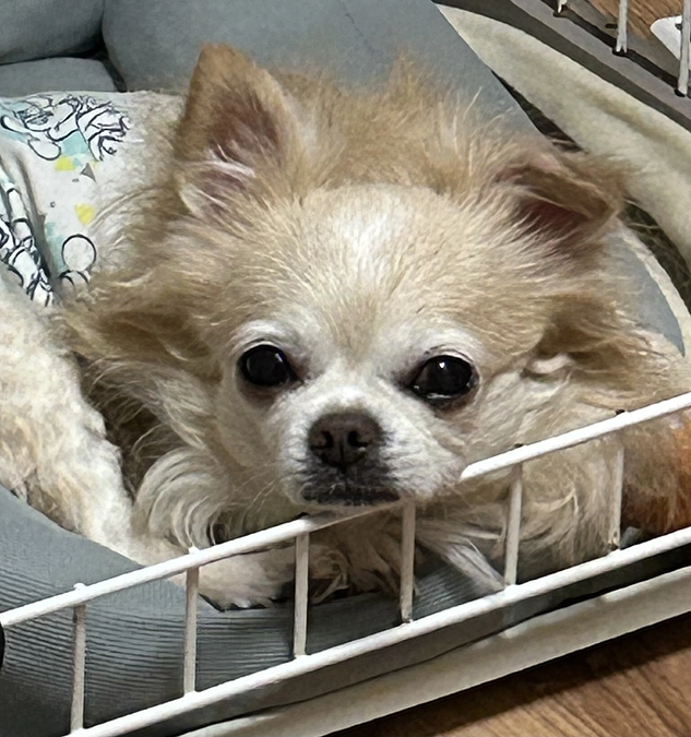 7/26かかつけの病院で検査をしていただきました。。