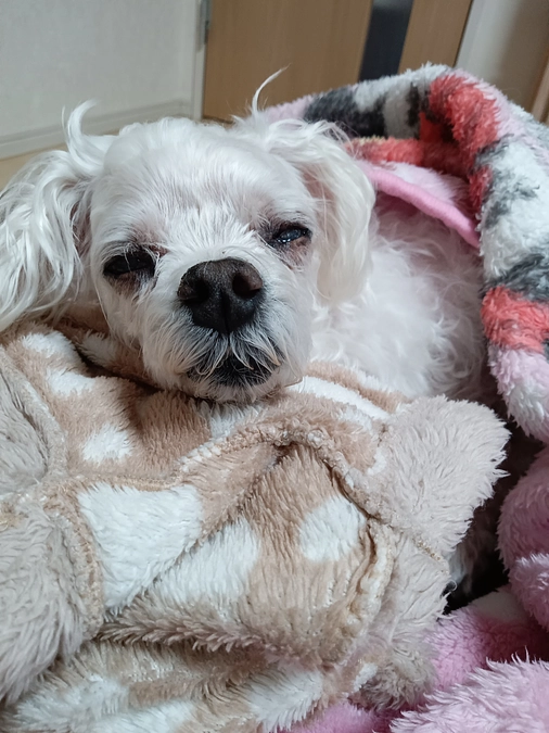 🌸もう3月ですね🌸