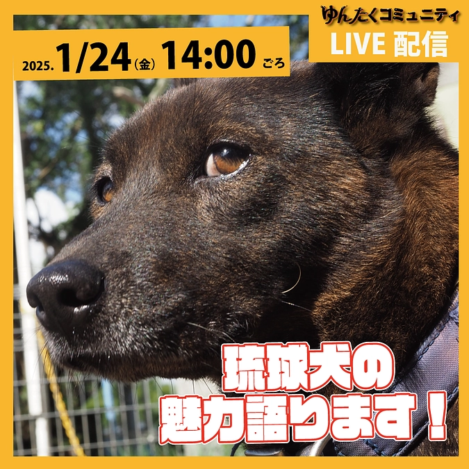 ゆんたくコミュニティ限定ライブ配信「琉球犬の魅力語ります！」