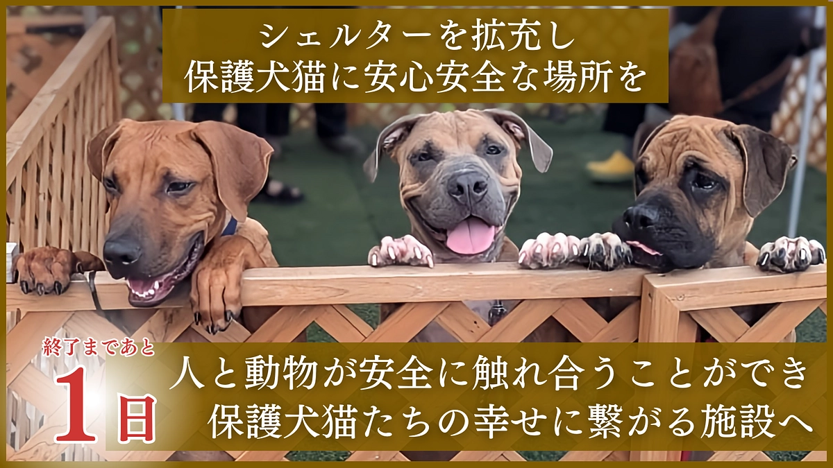 残り1日、1,500万円突破！プロジェクトにかける想い