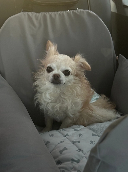 手術予定のA病院へ行ってきました