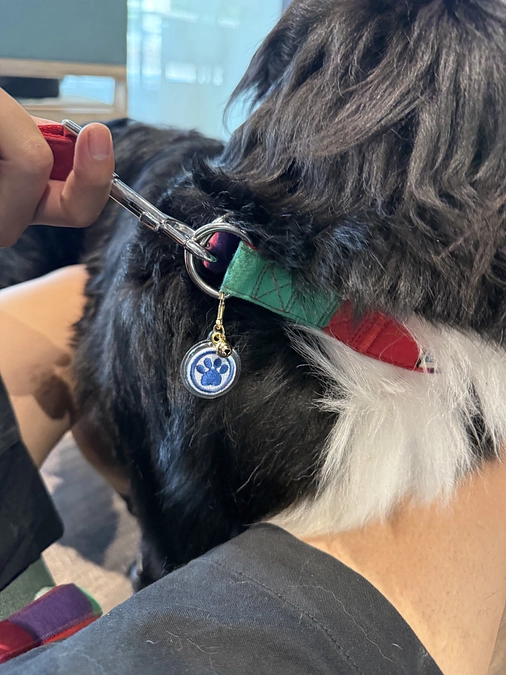 入院しました！