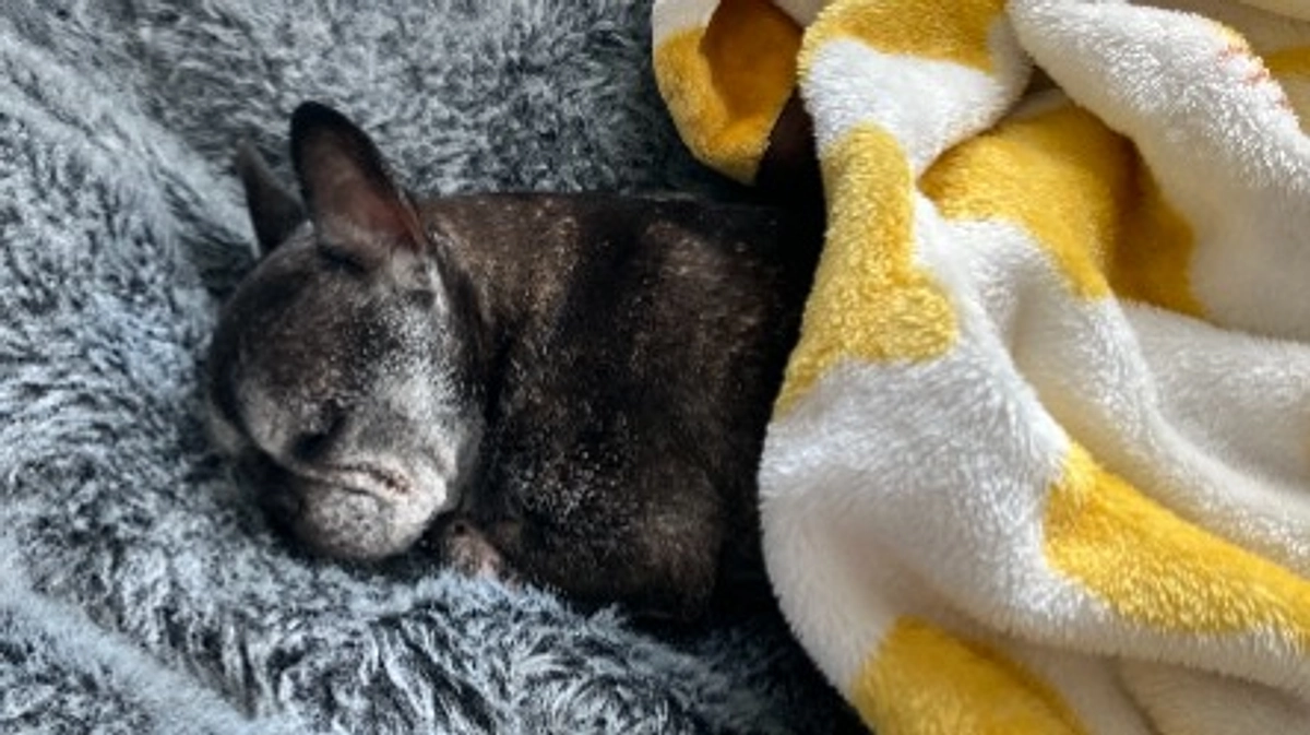 経過報告（締め切りまで残り5日）