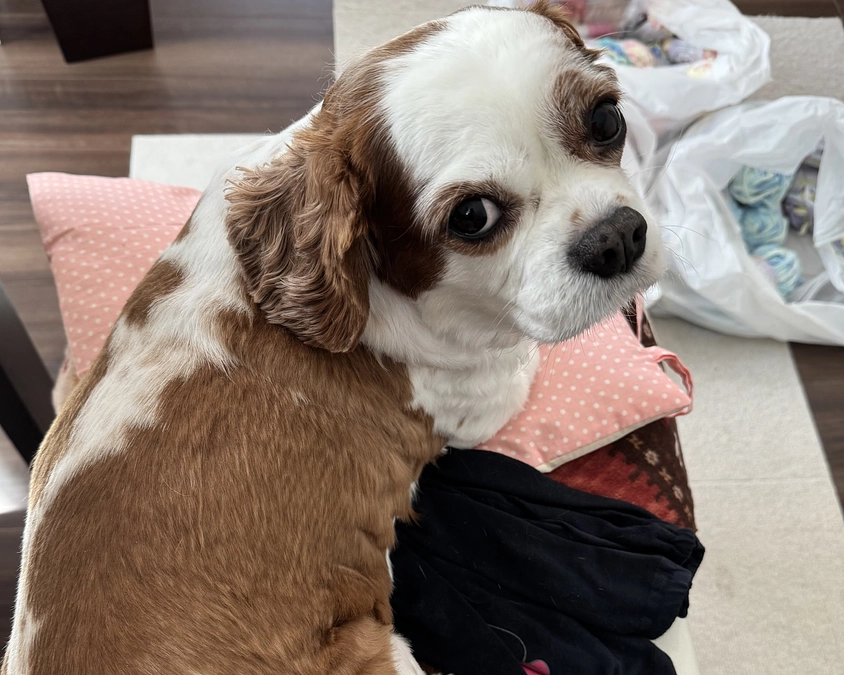 夜中に咳が…【3日目】