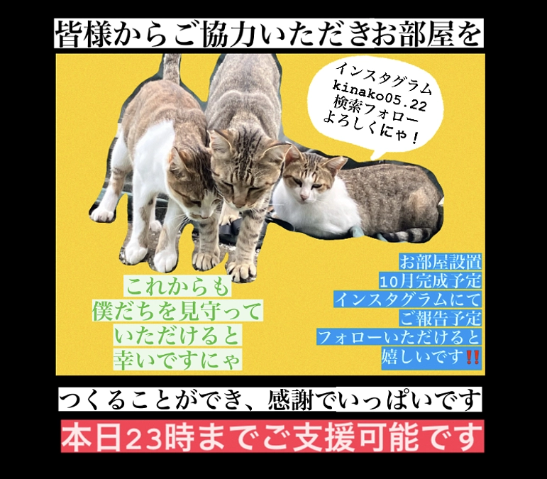 たくさんのご協力感謝申し上げます