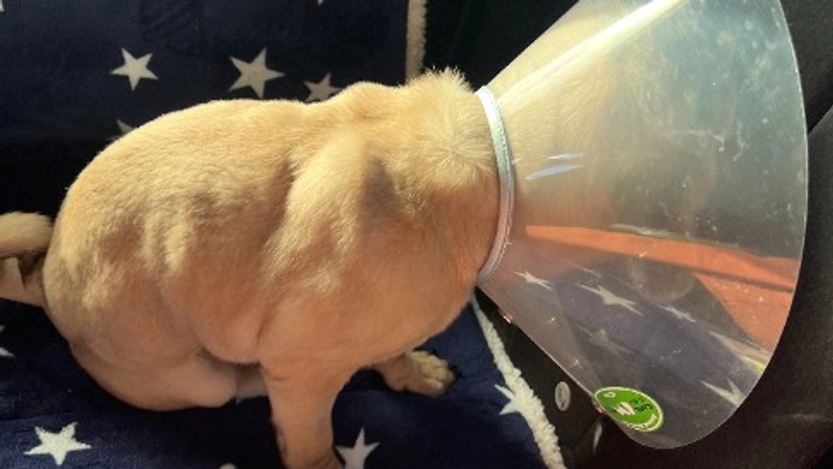 12月1日　無事退院！