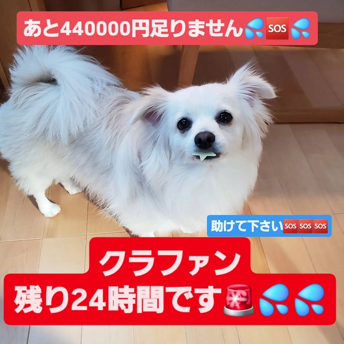 【残り２４時間】達成率５６％