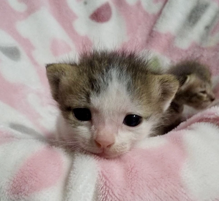 皆様に感謝しかないです♡成長やウッドデッキで遊ぶ姿に毎日感動です♡