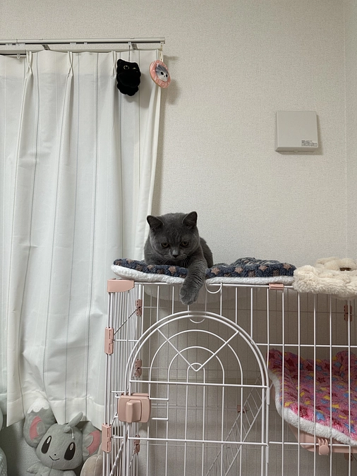 投薬治療73日目と10月18日の通院報告