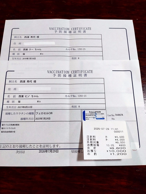 ワクチン接種💉