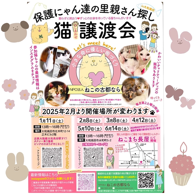 本日ねこまち長屋にめ譲渡会です🐱