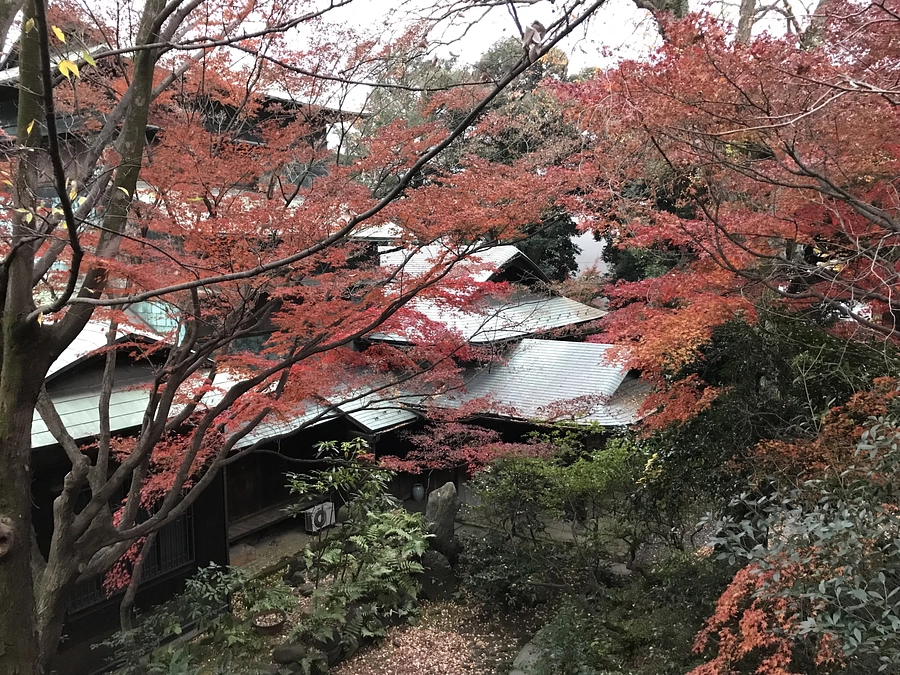 Fコース返礼品「銅御殿プライベートシークレットツアー」のご紹介