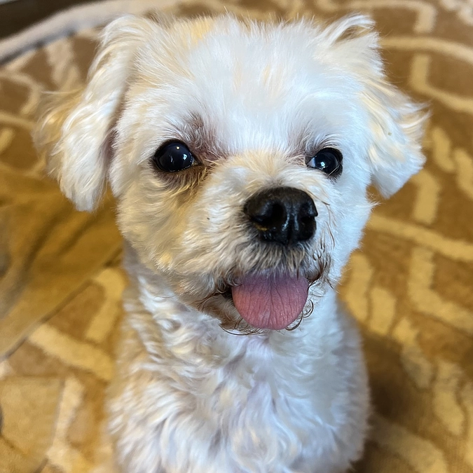 クラウドファンディング終了まで23時間！