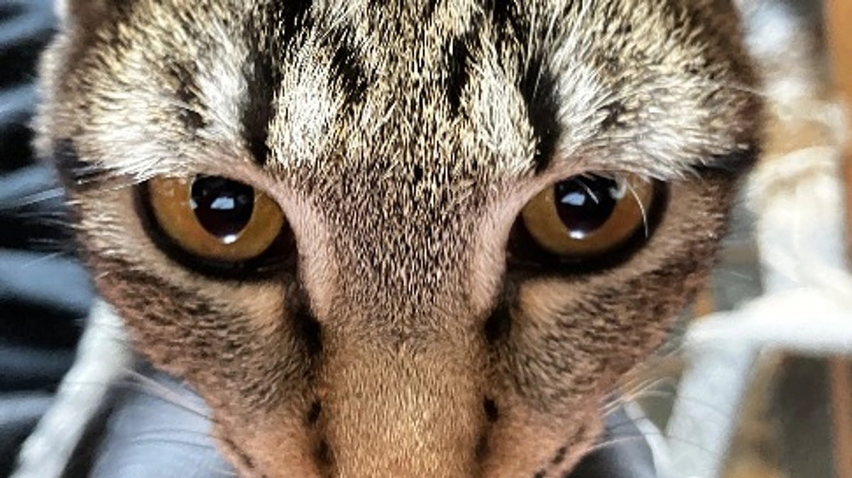 本日のスケジュール