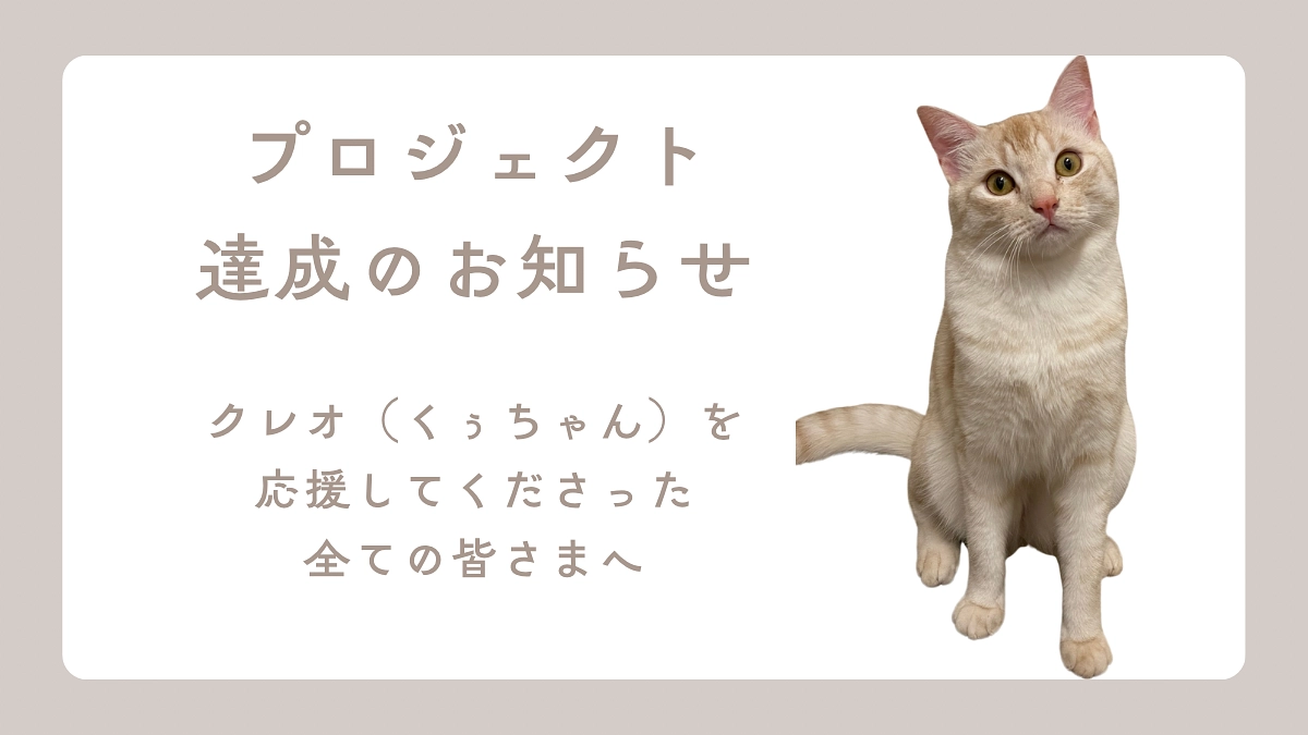 皆さまのおかげでプロジェクト達成できました。