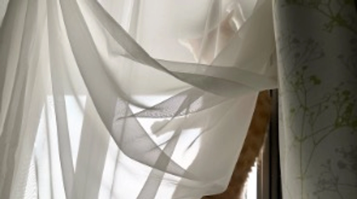 投薬55日目（プロジェクト開始15日目）