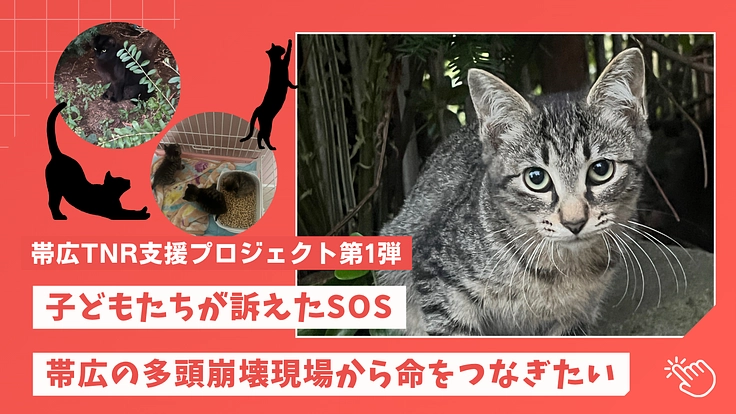 子どもたちが訴えたSOSー帯広の多頭崩壊現場から命をつなぎたい