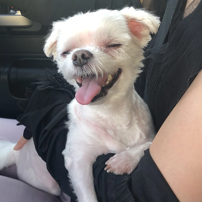 8/19のパフ太(*^_^*)