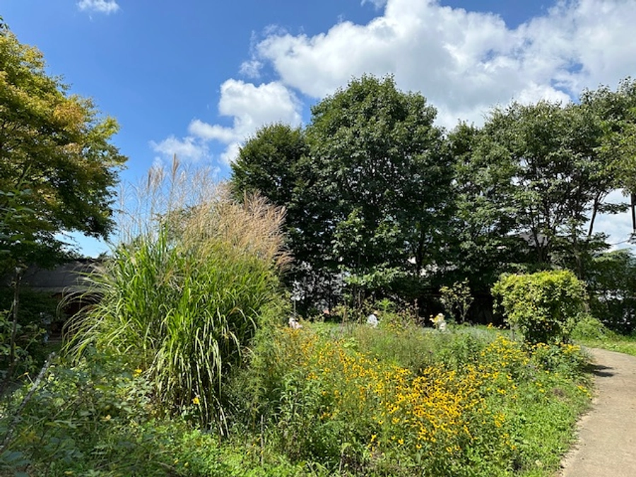 改修工事が開始となりました。