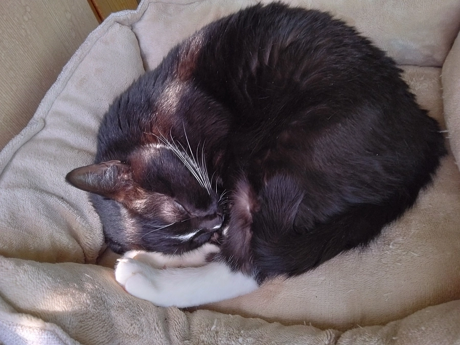 5/27はなちゃんの様子