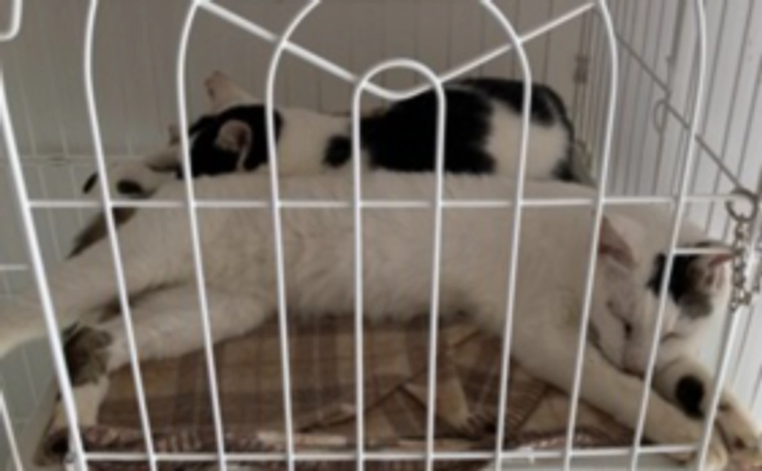 【定期サポート】10,000円コース