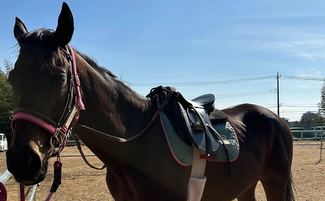 ちょこっとなみあし練習コース