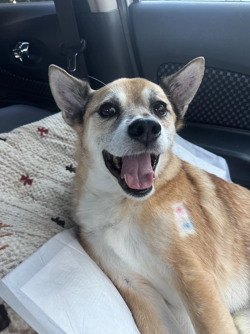 12/2    ☢️放射線治療1回目☢️