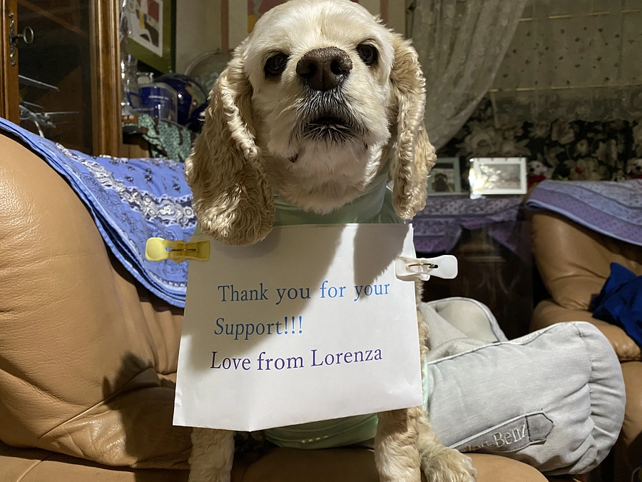 81名　731000円　有り難う御座いました　残り3時間です　ファイナルサポートお願いします