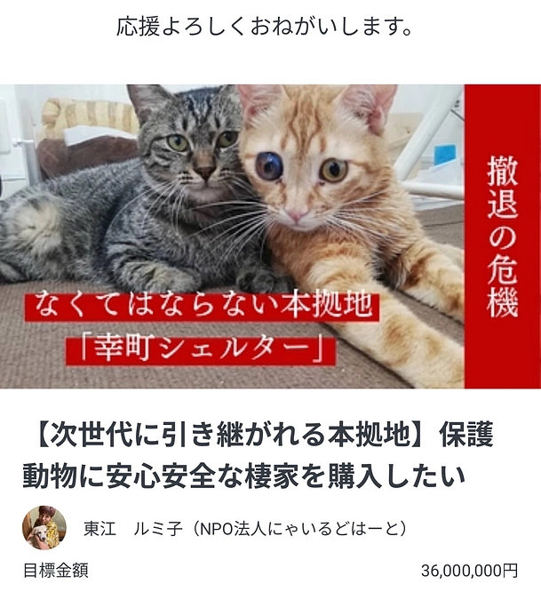 只今、クラウドファンディング挑戦中🔥🔥🔥