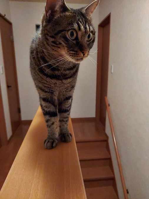 2歳を迎えることができました