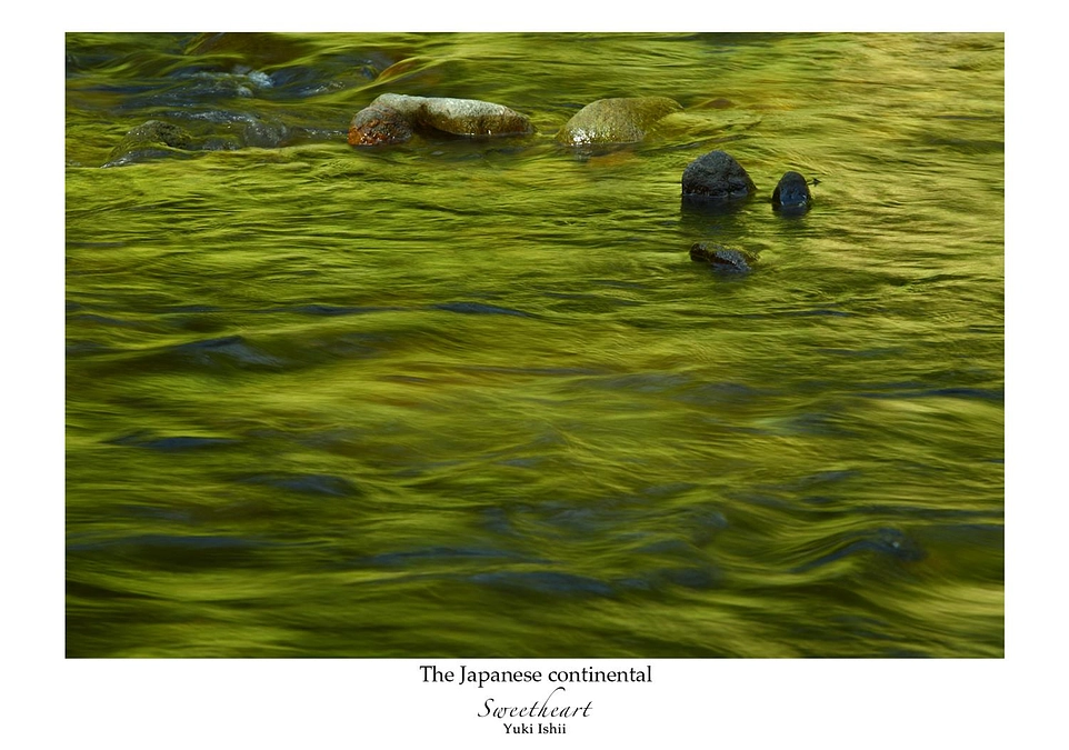 山と海は繋がっている