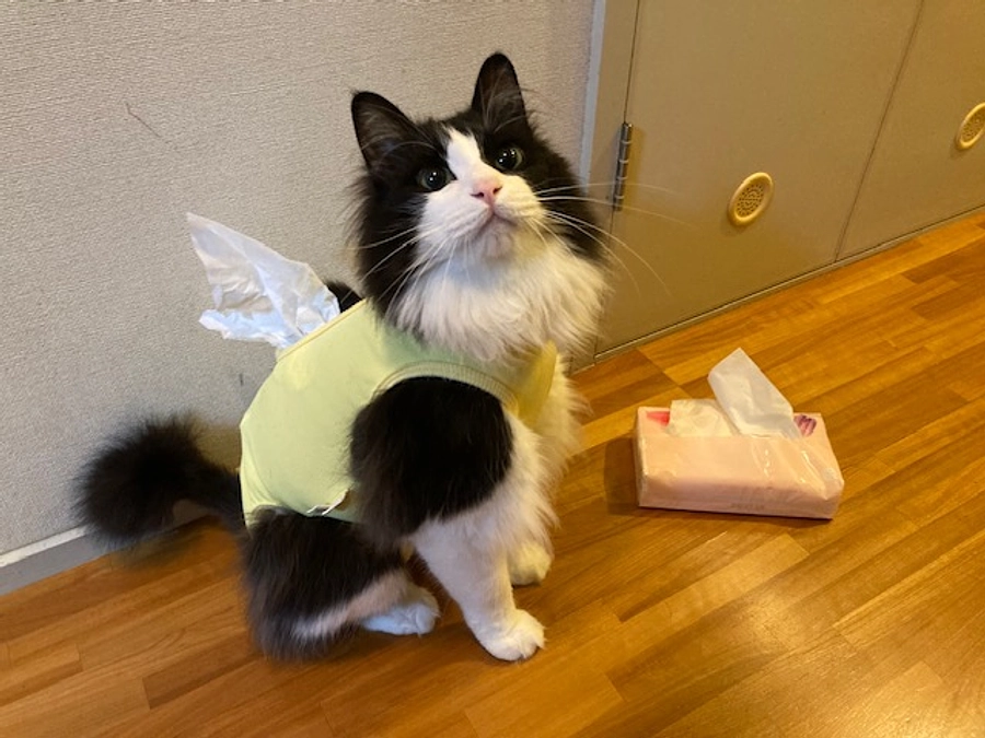 クラウドファンディングの皆様、ありがとうございました