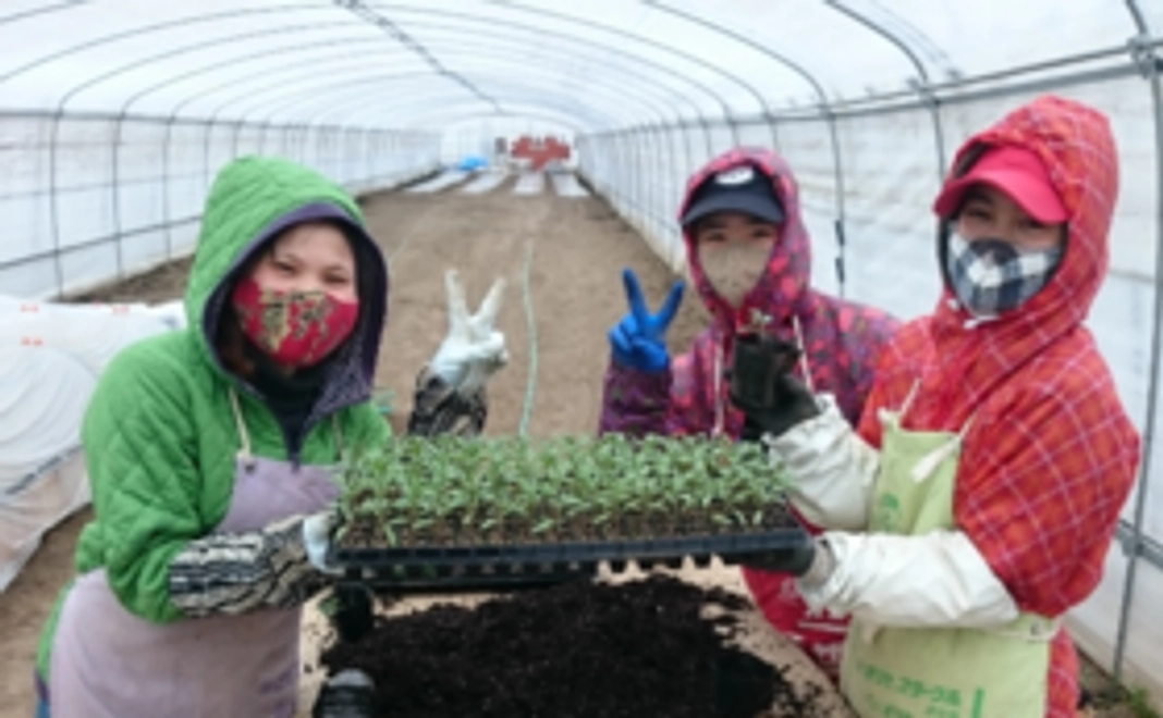 5000円｜応援コース