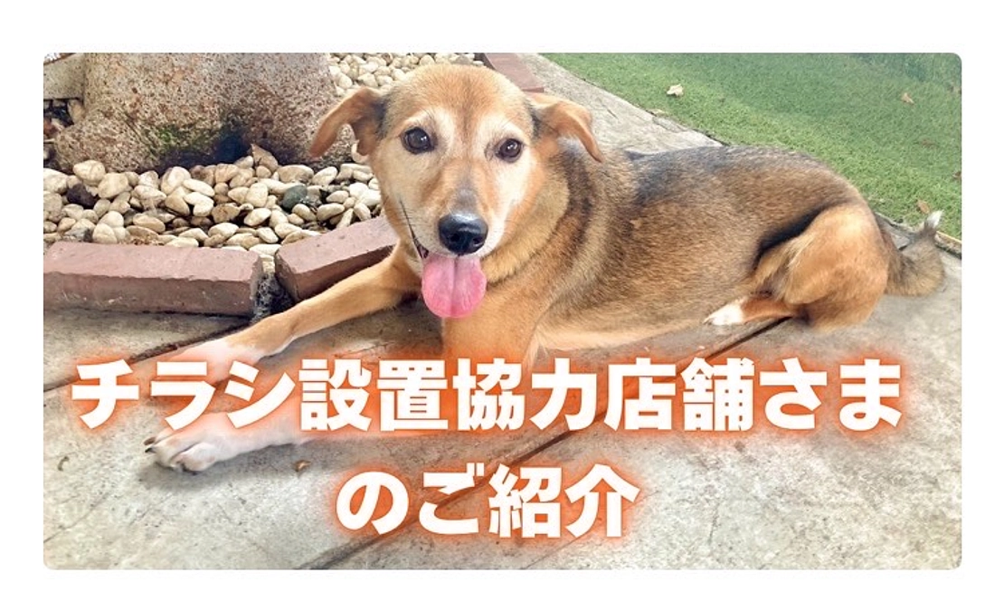 【第3弾】チラシ設置協力店舗様をご紹介します！    