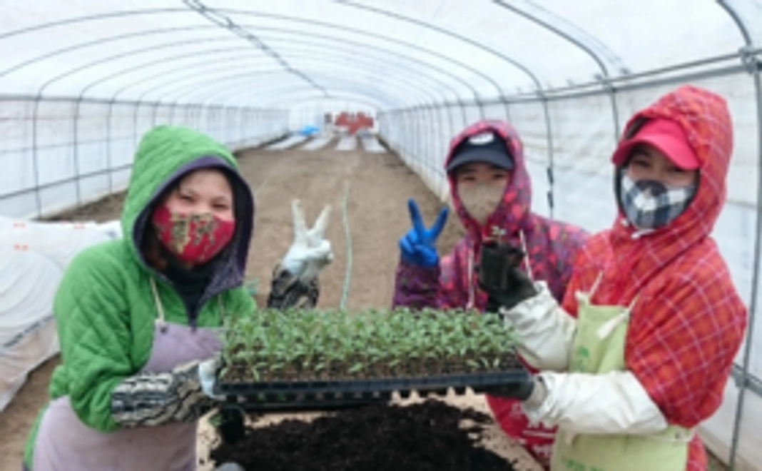 1万円｜応援コース