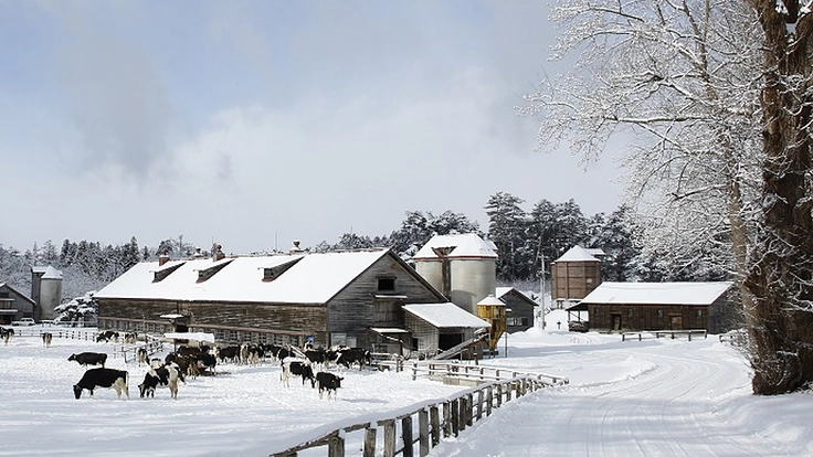 農業近代化の歴史を伝える重要文化財|小岩井農場の建築遺産を未来へ 5枚目