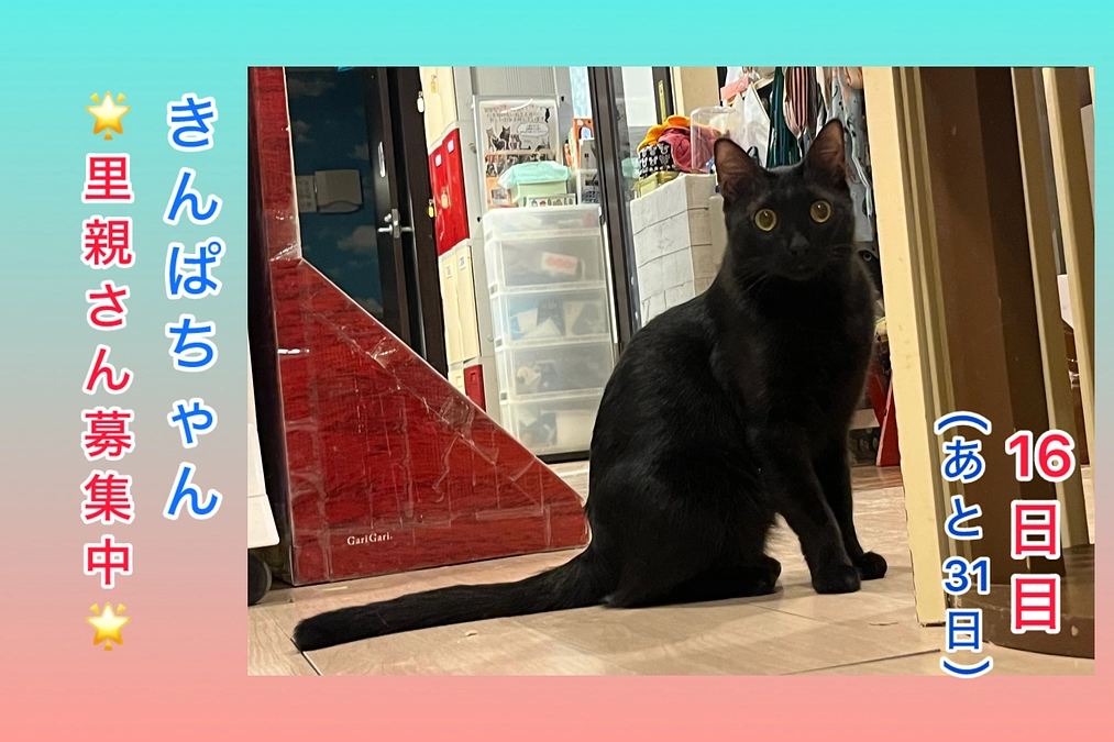 残りの期間が1ヶ月となります＆毎日の業務～お掃除編～（2/28 16日目）