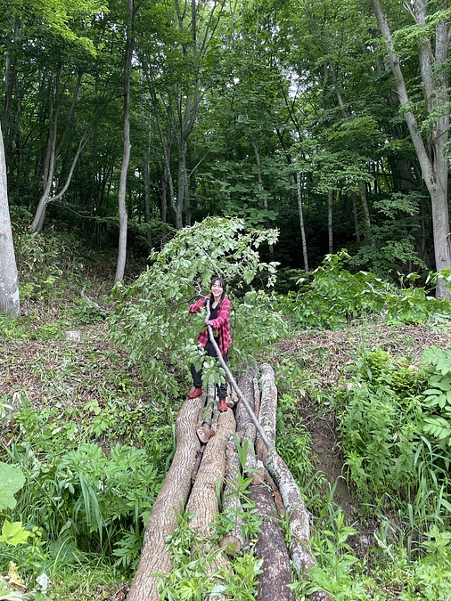 日々草刈りを実施しております！
