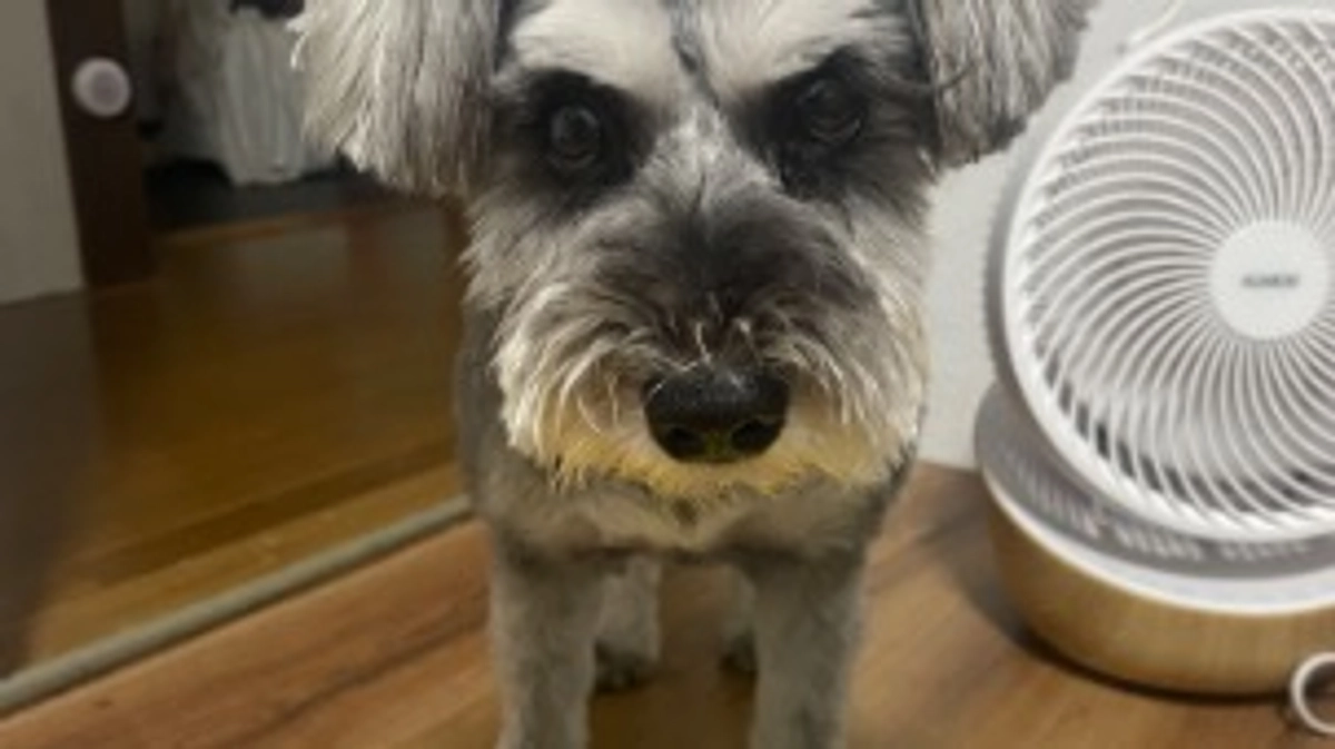 会計報告です🙇