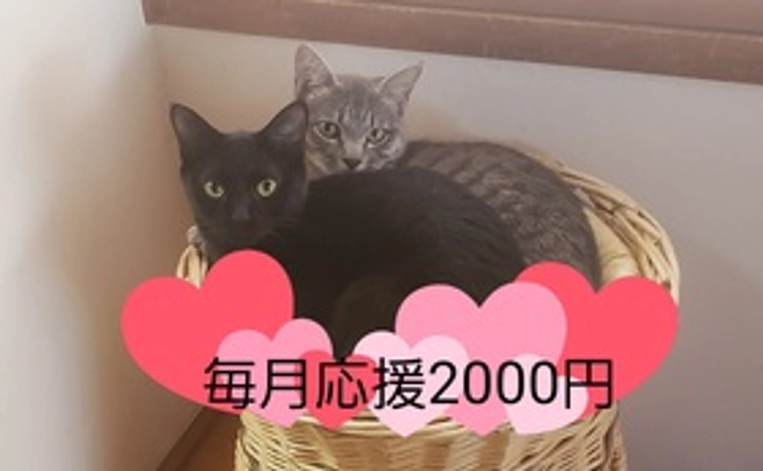 毎月応援2000円コース