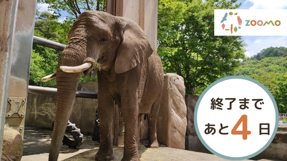 【残り4日】目標達成！！ネクストゴールに挑戦します！！