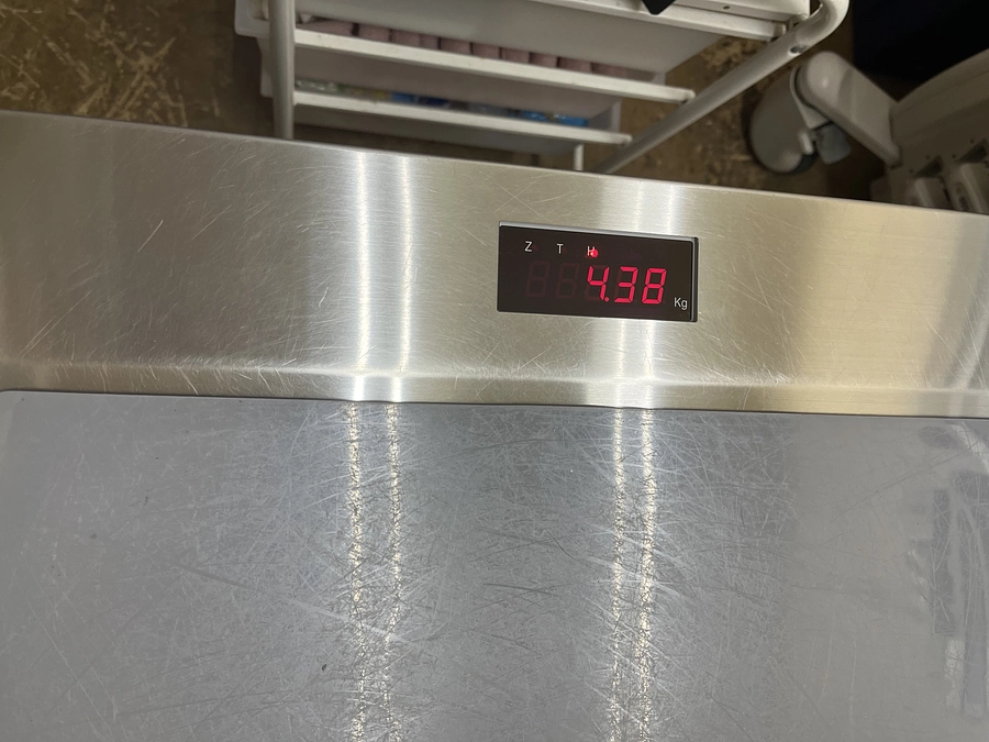 【1/13】定期検診