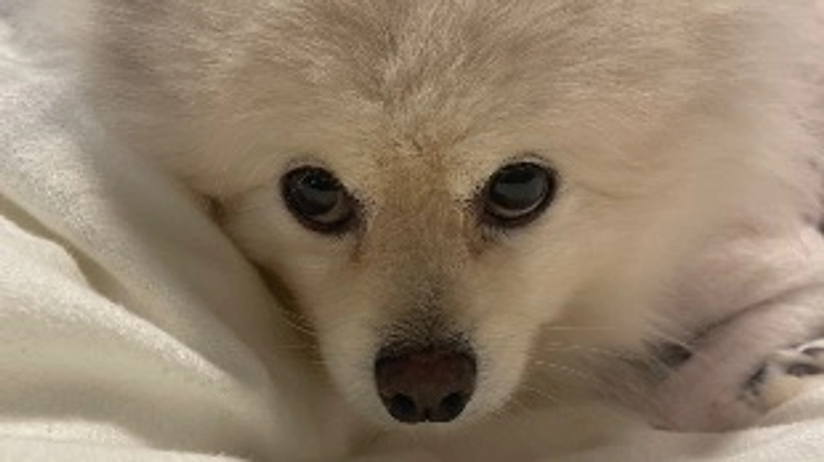 退院しました！