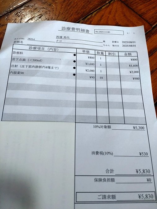 クロ君の通院💉