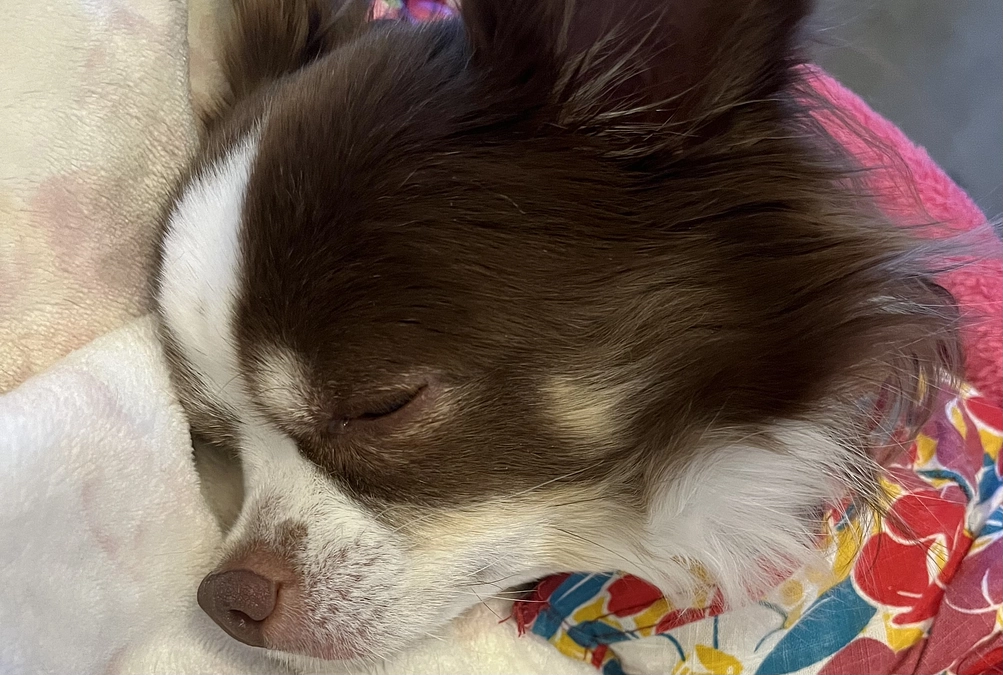 2024.01.09 残り10日となりました💦