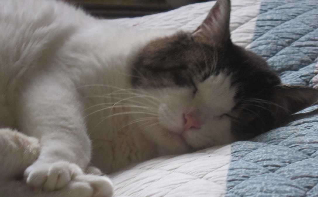 【残り6日】ご挨拶　（注意／センシティブ写真があります）