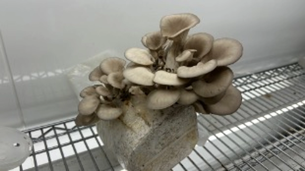 目標金額達成のお礼